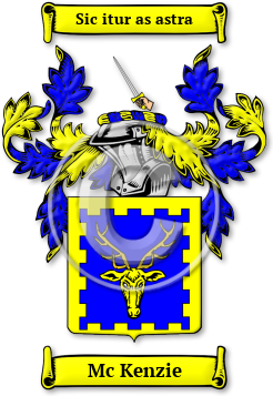 Mc Kenzie Family Crest Download (jpg) Legacy Series - 150 DPI